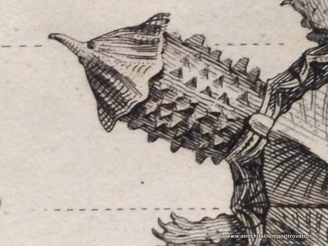 Oggettistica d`epoca - Stampe e dipinti - Antica litografia Reptiles: Le Regne Animal Le regne Animal - Immagine n°8  