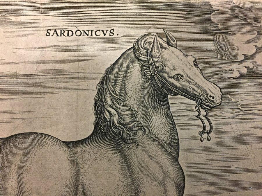 Sardegna antica - Tutto Sardegna - Sardonicvs: rarissima incisione su rame Antica e rara incisione di un cavallo sardo - Immagine n°5  