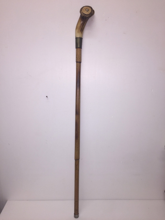 Antica bastone da passeggio in corno - Bastone da passeggio: impugnatura in corno